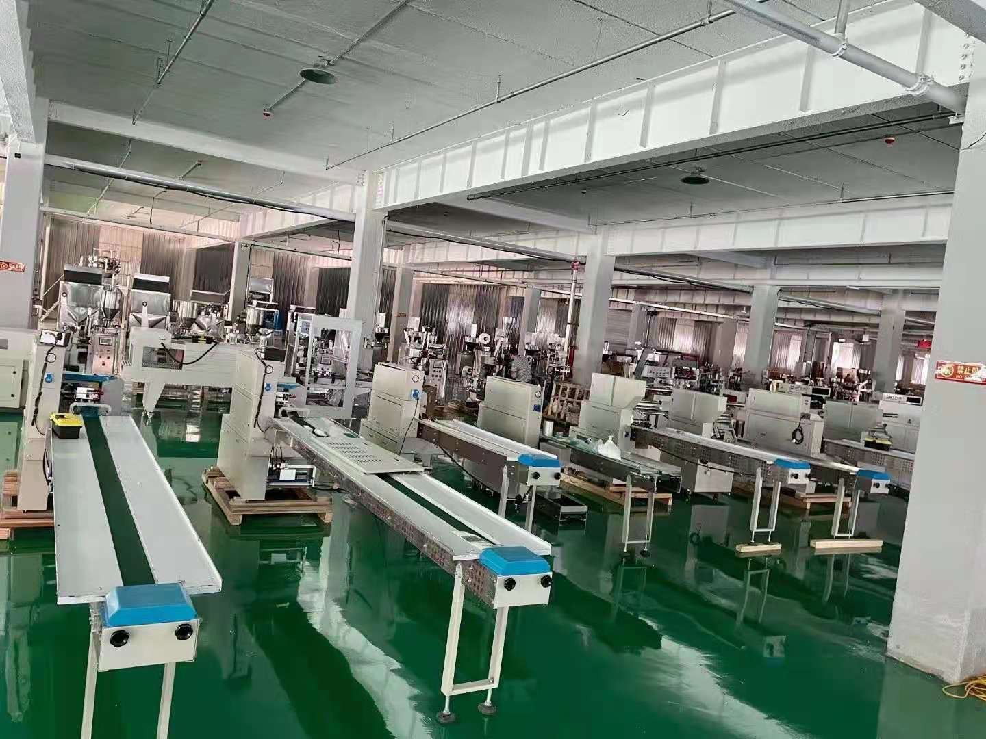 automatic packing machine